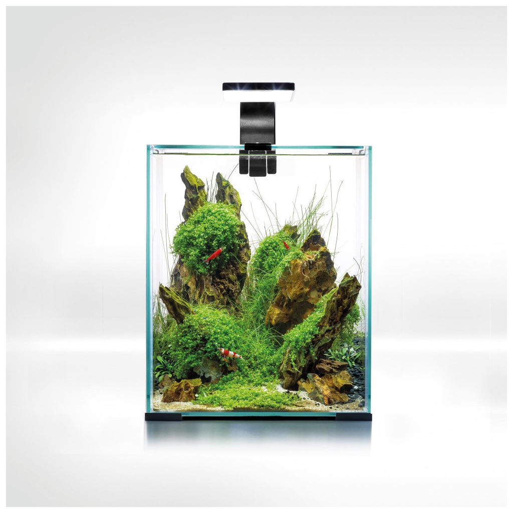 Акваріум AquaEl Для креветок SMART 2.0 / Day & Night 19 л Чорний (5905546308571) - изображение 3