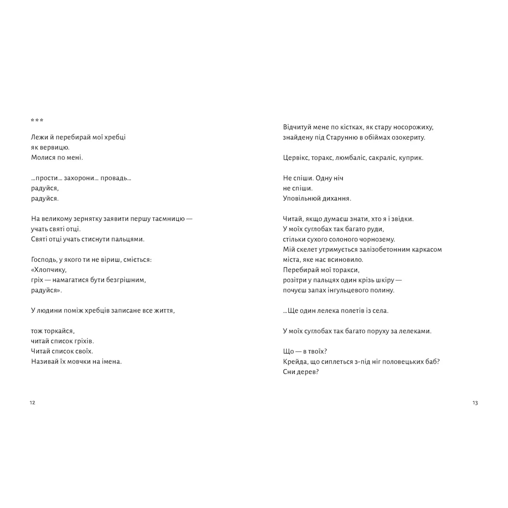 Книга Замість яблук - Іванна Скиба-Якубова Видавництво Старого Лева (9789664483473) - зображення 2