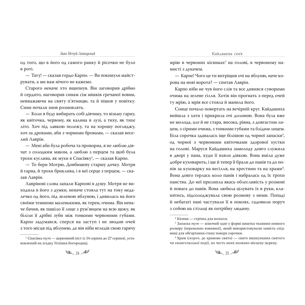 Книга Кайдашева сім'я - Іван Нечуй-Левицький Видавництво РМ (9786178248765) - зображення 8
