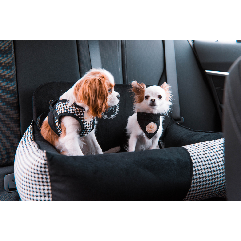 Автомобільне крісло для тварин Chloe's Home Porto black подвійне 68х48 см чорне (CLH1233) - зображення 2