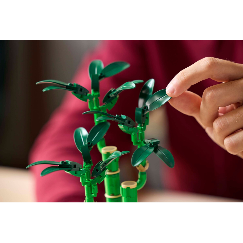 Конструктор LEGO Botanicals Бамбук щастя (10344) - зображення 9