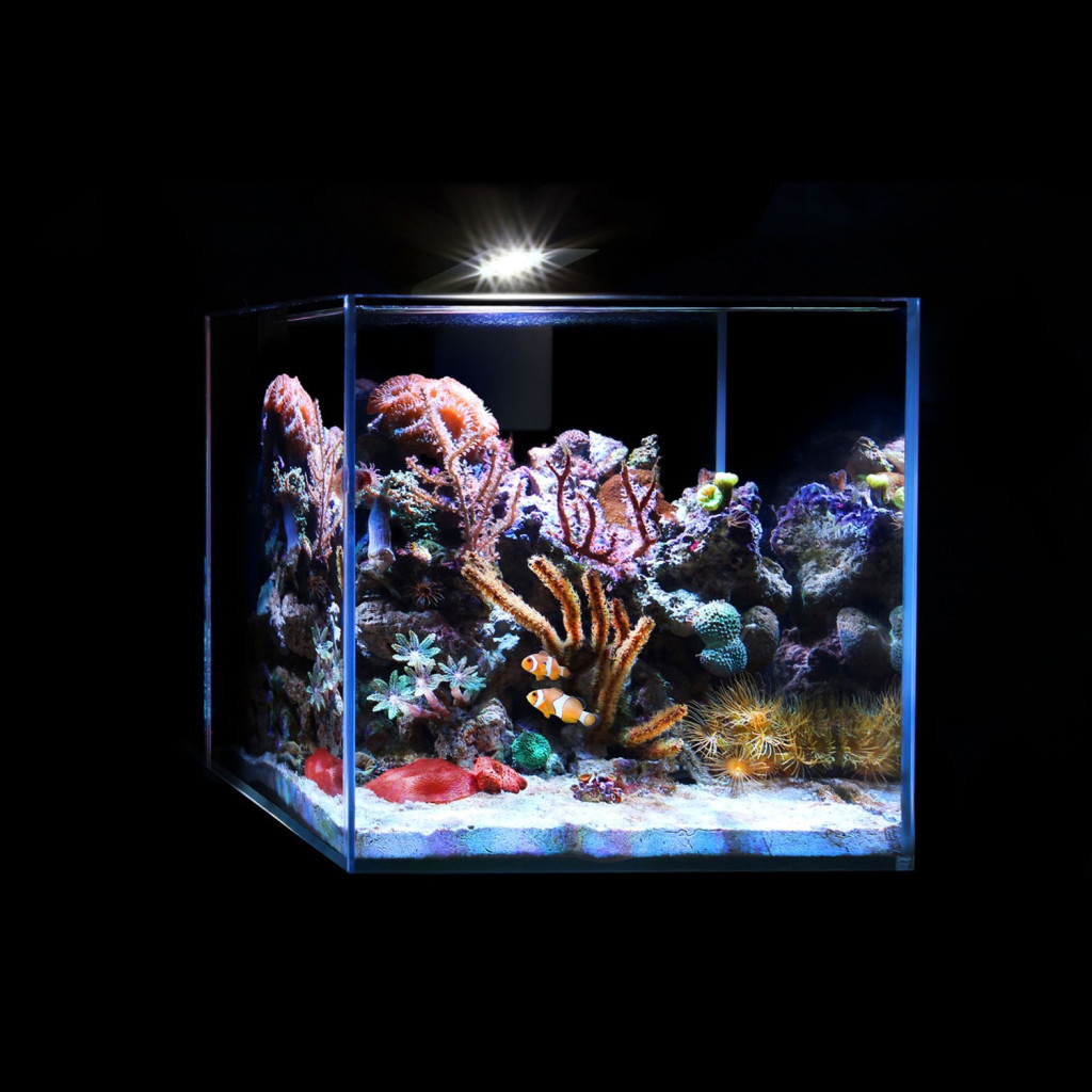 Світильник для акваріума Aqualighter Nano Marine (для морського акваріуму до 20 л) 12000 к 380 люм (8228) - зображення 4