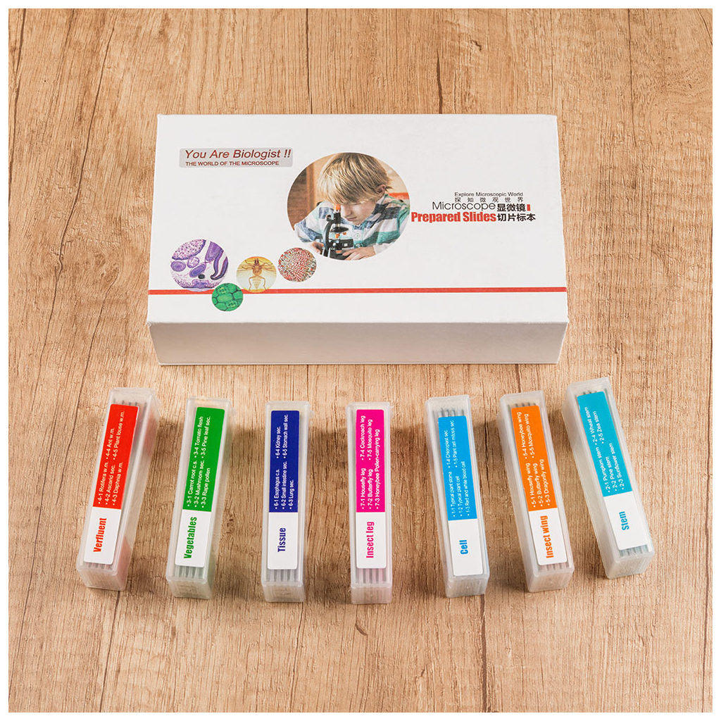 Набір мікропрепаратів Sigeta Biologist Set (35 шт) (65126) - picture 4