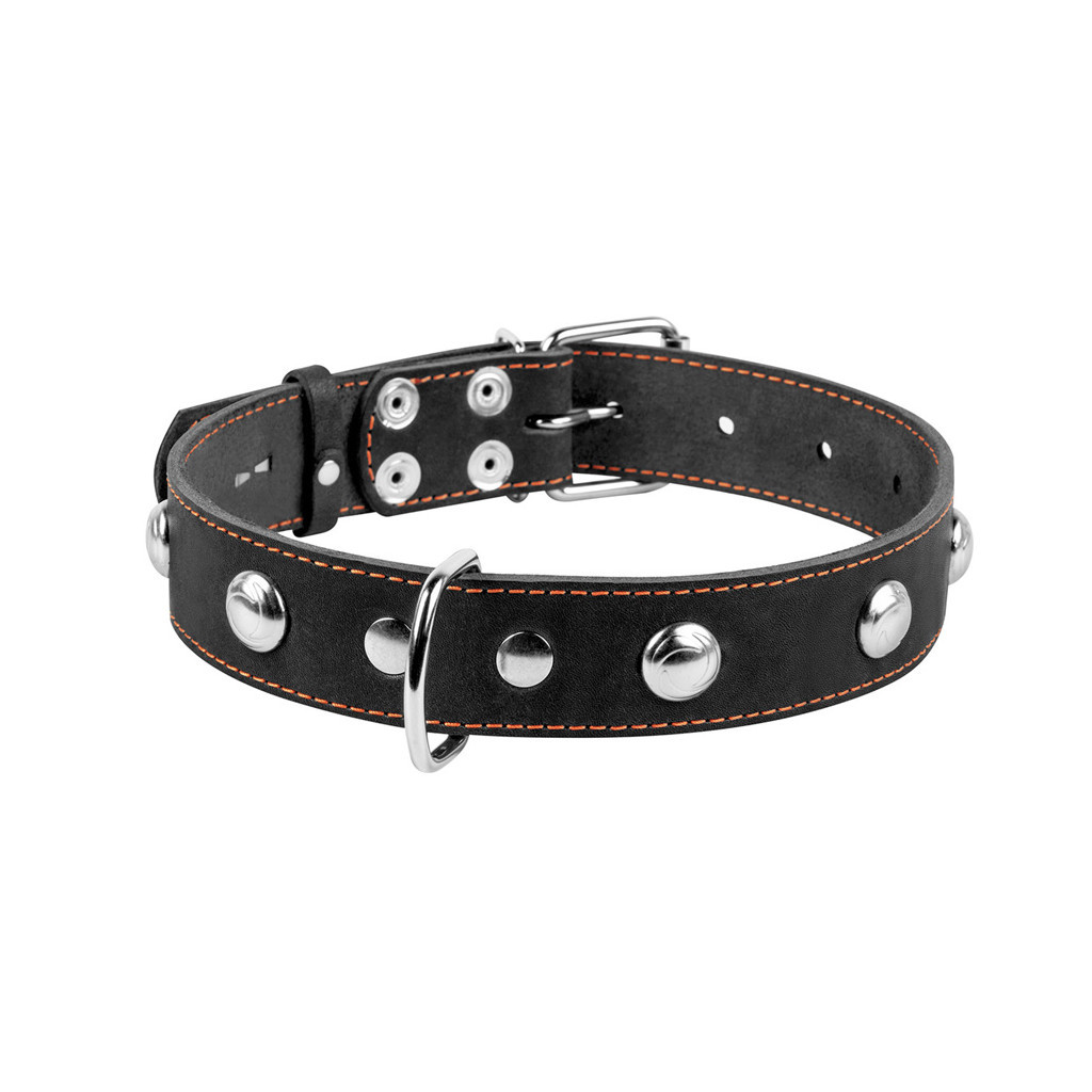 Нашийник для тварин Collar одинарний з прикрасами Ш 35 мм Д 48-63 см чорний (02711) - зображення 2