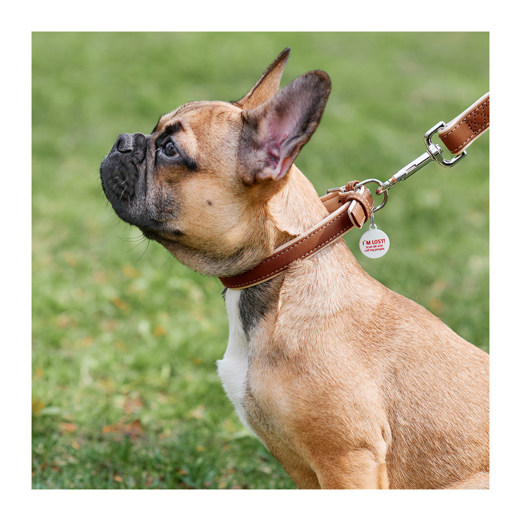 Нашийник для тварин WAUDOG Soft з QR паспортом S коричневий (7191) - зображення 3