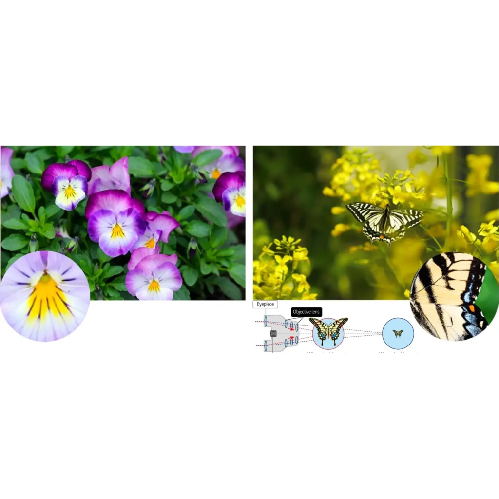 Бінокль Pentax UP 8.5x21 Papillio II (930160) - изображение 5