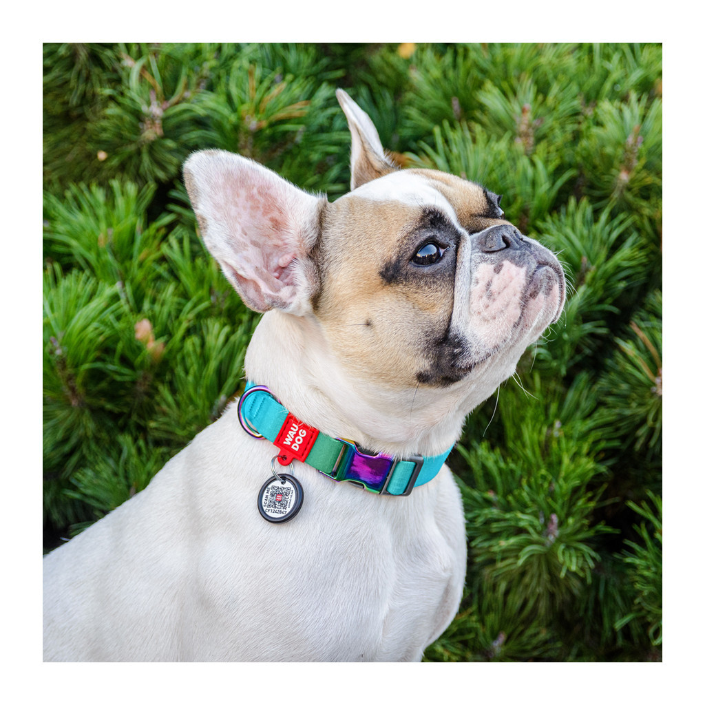 Нашийник для тварин WAUDOG Recycled з QR паспортом M Ш 20 мм Д 28-40 см блакитний (46512) - изображение 3