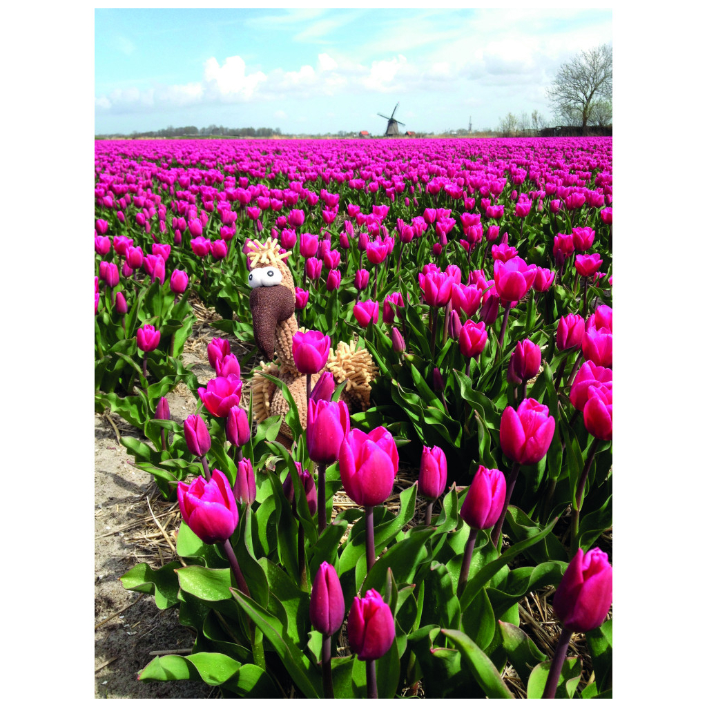 Іграшка для собак Trixie Гриф Густав Тканина і плюш 24 см (4011905359113) - изображение 6