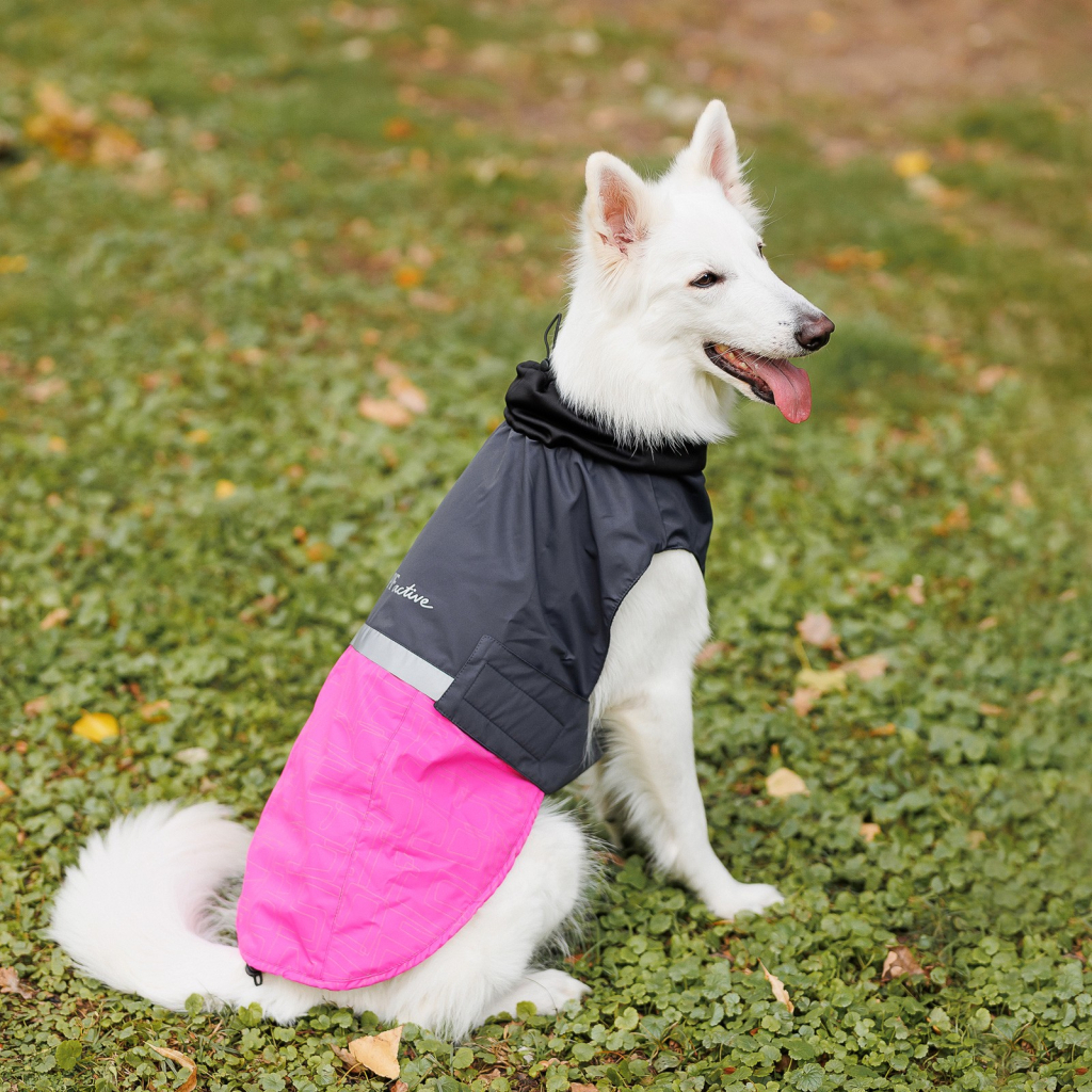 Попона для тварин Pet Fashion ROY 2XL малиново-сіра (4823082432912) - изображение 8
