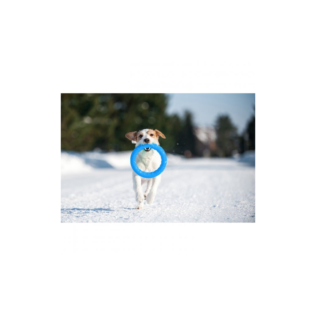 Іграшка для собак Collar PitchDog Кільце для апортування 28 см блакитне (62382) - зображення 8