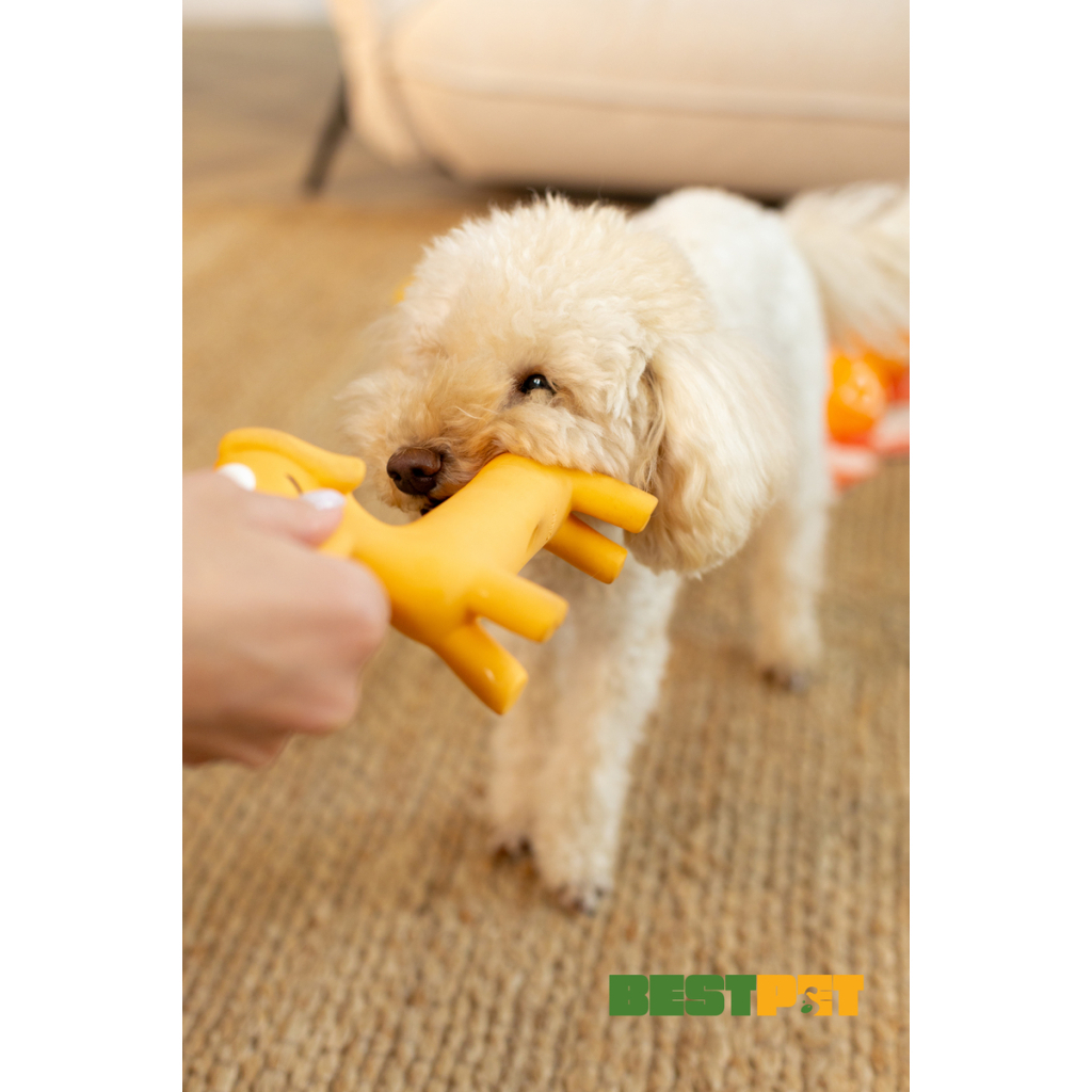 Іграшка для собак MISOKO&CO Собака коричневий 21 см (BEIRJ02939) - зображення 4