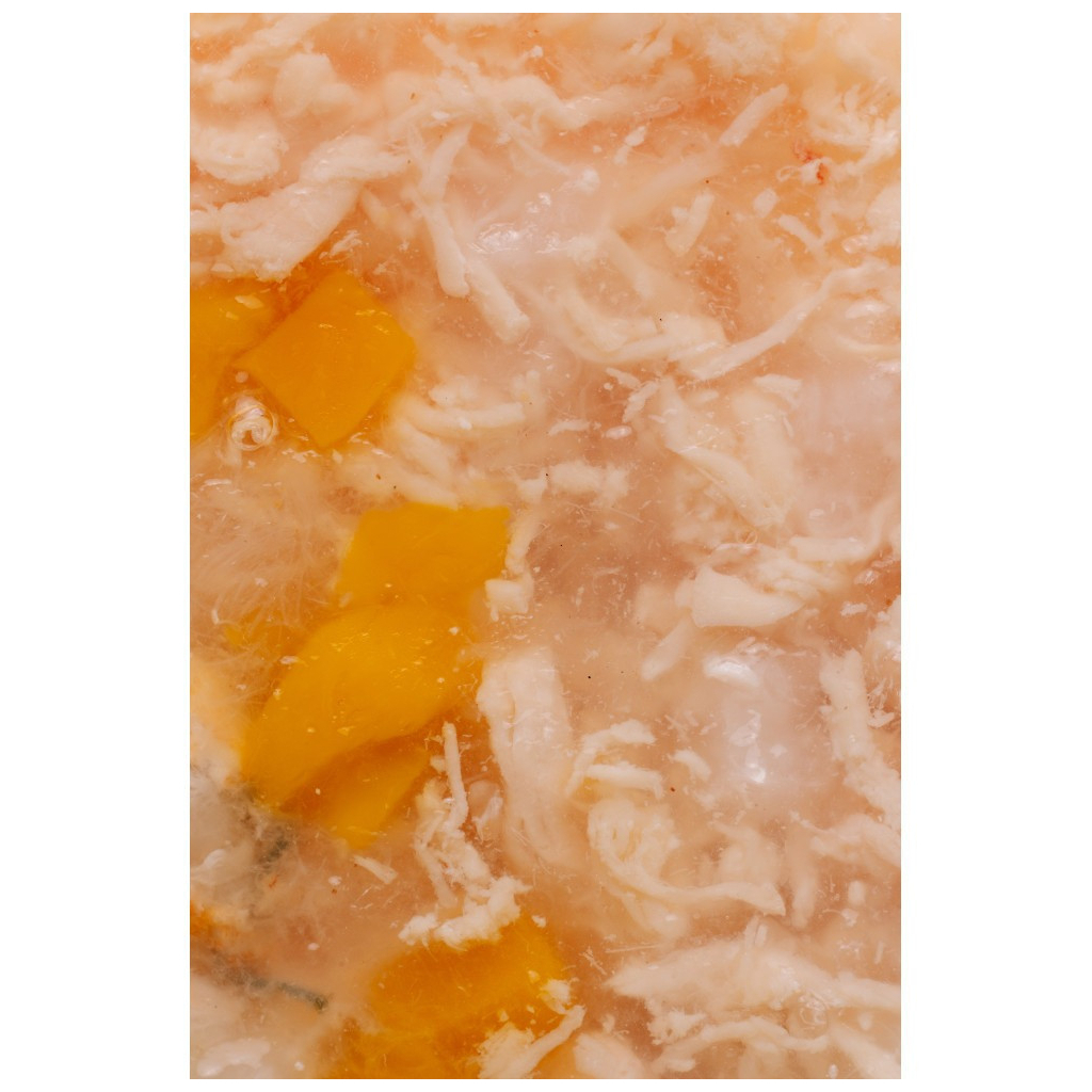 Консерви для котів Savory Chicken Fillets rich in Shrimps in Jelly for Kittens 70 г (4820261920963) - зображення 8