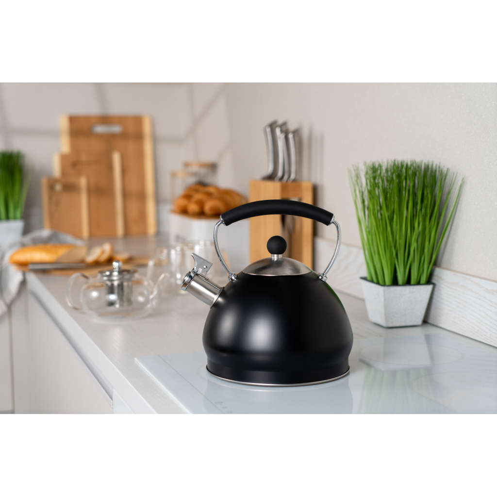 Чайник Ardesto Black Mars 3 л (AR0748KS) - зображення 2