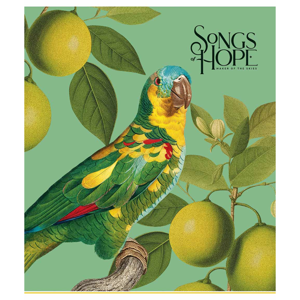 Зошит Школярик Birds 60 аркушів клітинка (060-3410K) - зображення 5