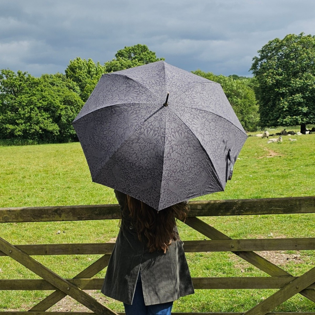 Парасоля Fulton L936-040706 Morris & Co Hampstead UV Strawberry Thief Graphite (L936-040706) - зображення 3