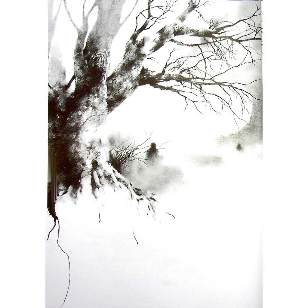 Книга Страшні історії для розповіді в темряві - Елвін Шварц Vivat (9789669823137) - зображення 12