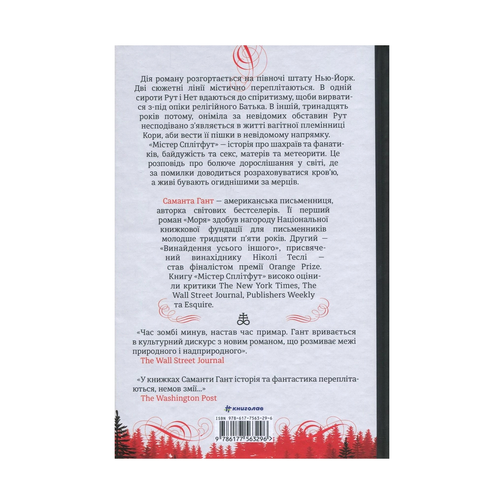 Книга Містер Сплітфут - Саманта Гант #книголав (9786177563296) - зображення 2