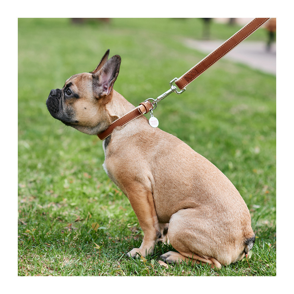 Повідець для собак WAUDOG Soft S Ш 18 мм Д 122 см коричневий (7257) - зображення 2