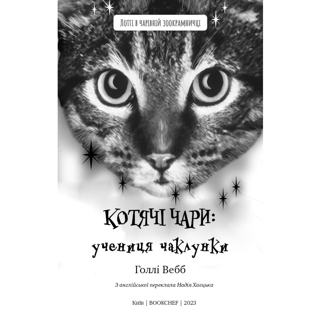 Книга Котячі чари. Учениця чаклунки - Голлі Вебб BookChef (9786175481271) - зображення 4