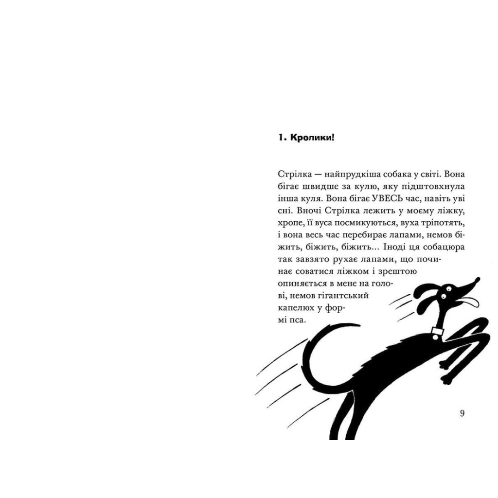 Книга Ракета на чотирьох лапах під прикриттям. Книга 4 - Джеремі Стронґ Видавництво Старого Лева (9786176798132) - зображення 3