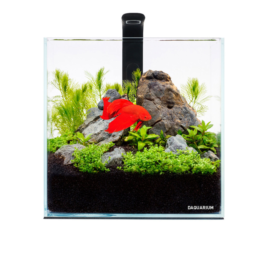 Акваріум Aqualighter набір DAQUARIUM Pico Set 170 мм 5 л (7141) - зображення 1