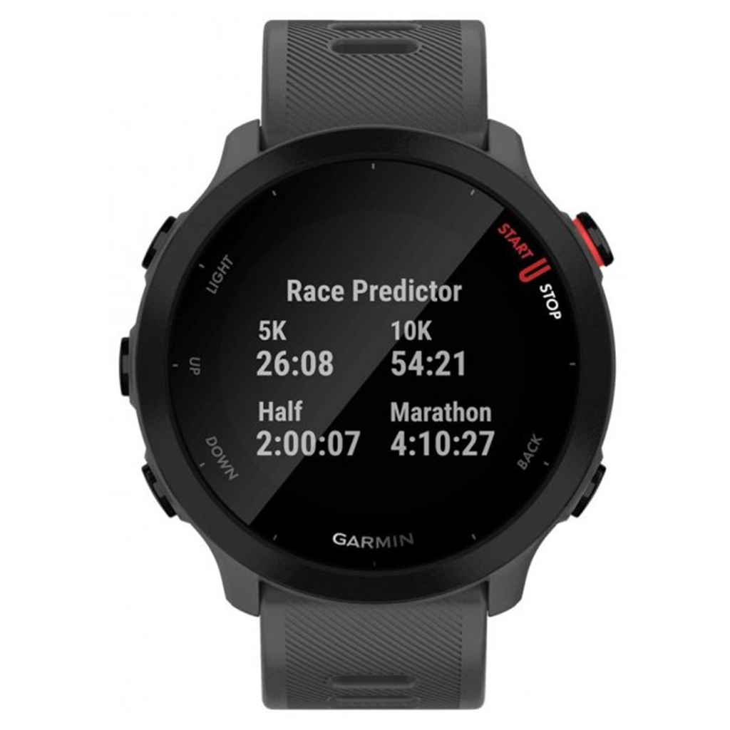 Смарт-годинник Garmin Forerunner 55, Monterra Grey (010-02562-13) - зображення 2