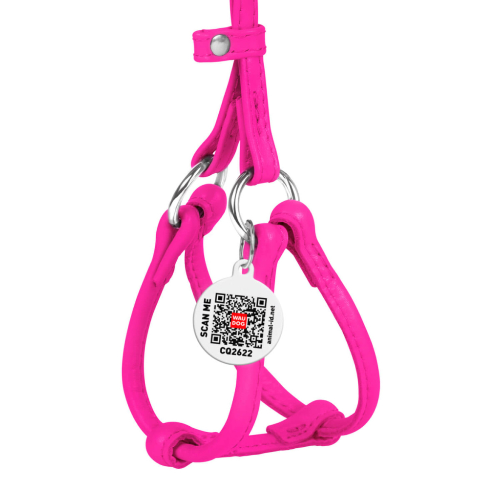Шлея для собак WAUDOG Glamour з повідцем кругла Д 6 мм А 42-60 см В 46-64 см рожева (34027) - зображення 2