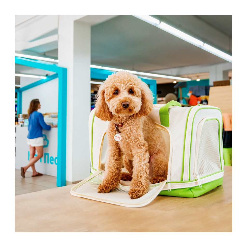 Переноска для тварин WAUDOG Relax Eco 47х30х28 см для котів та дрібних порід собак до 8 кг (9987) - изображение 7