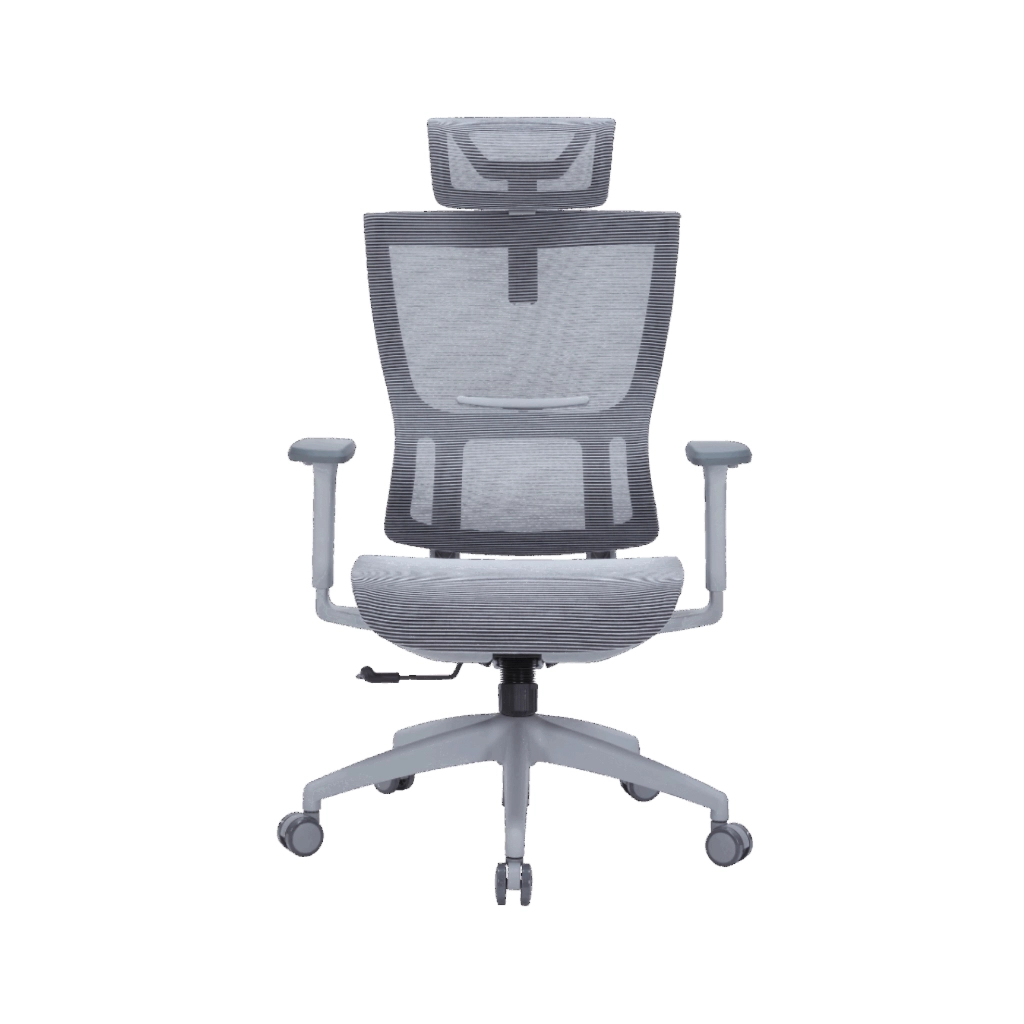 Офісне крісло OfficePro Elegant OC660-G-DG-DG (OC660-G-DG-DG) - зображення 1