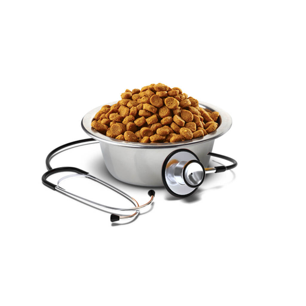 Сухий корм для кішок Farmina Vet Life Gastrointestinal при захворюванні ШКТ 2 кг (8010276025340) - зображення 2