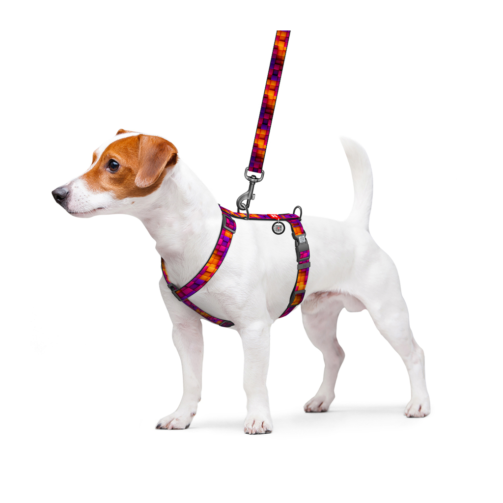 Шлея для собак WAUDOG H-подібна анатомічна Nylon з QR адресником "Куби 3Д" пластиковий фастекс XL (347-4057) - зображення 3