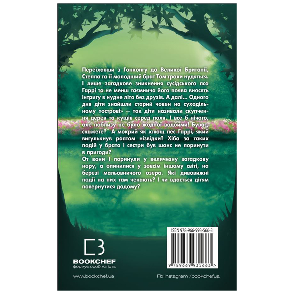 Книга Таємне озеро - Карен Інґліс BookChef (9789669935663) - зображення 3