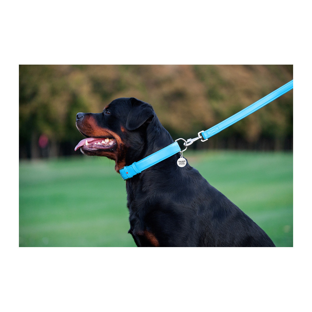 Повідець для собак WAUDOG Glamour шкіряний M-XXL блакитний (33762) - зображення 8