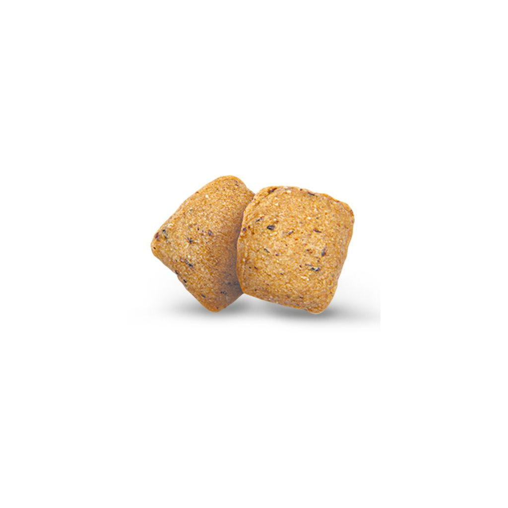 Сухий корм для собак Green Petfood VeggieDog Grainfree 10 кг (4032254748045) - зображення 3