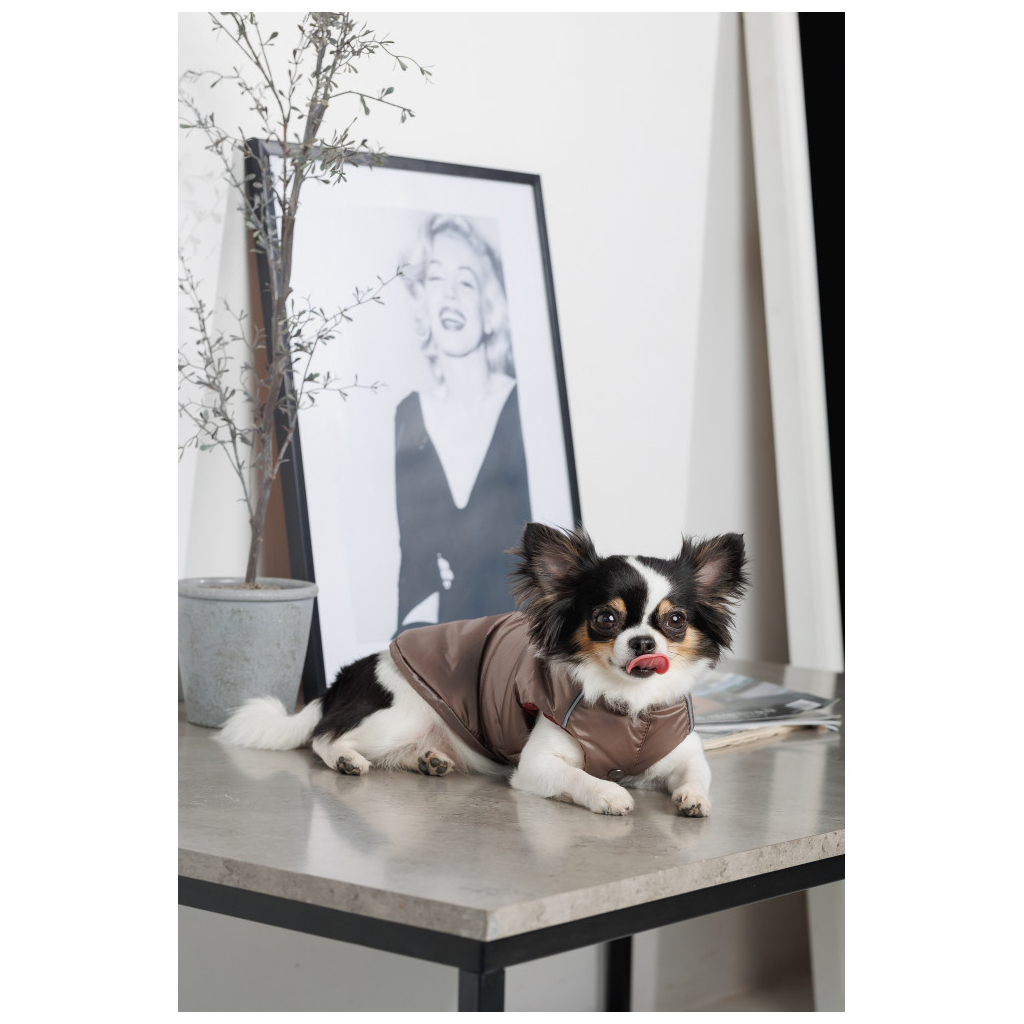 Жилет для тварин Pet Fashion Hardy L (4823082437443) - изображение 7