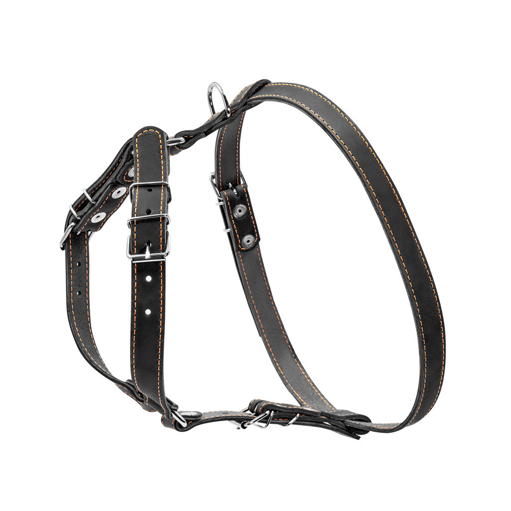 Шлея для собак Collar одинарна для малих та середніх порід Ш 20 мм А:40-56 см В:57-65 см чорна (06361) - зображення 2