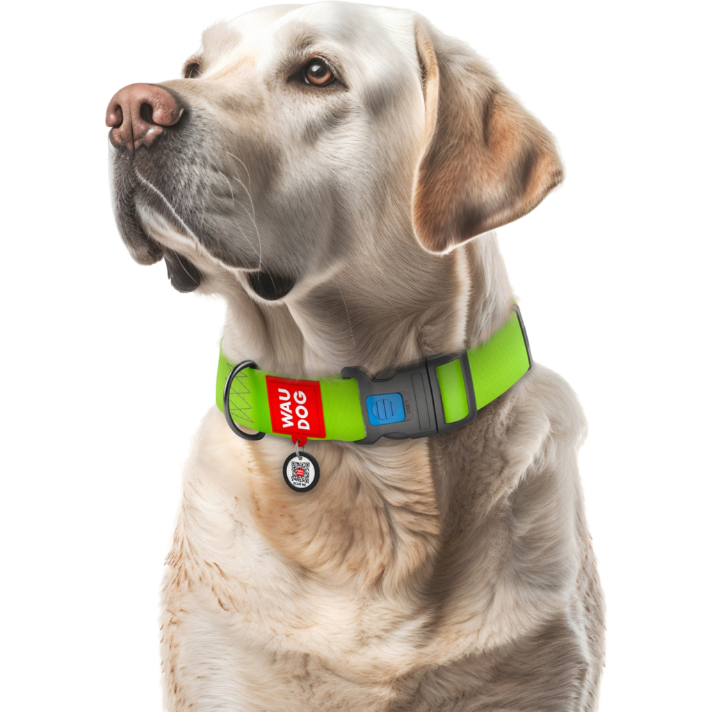Нашийник для тварин WAUDOG Waterproof з QR паспортом пластиковий фастекс XXL салатовий (25115) - зображення 4