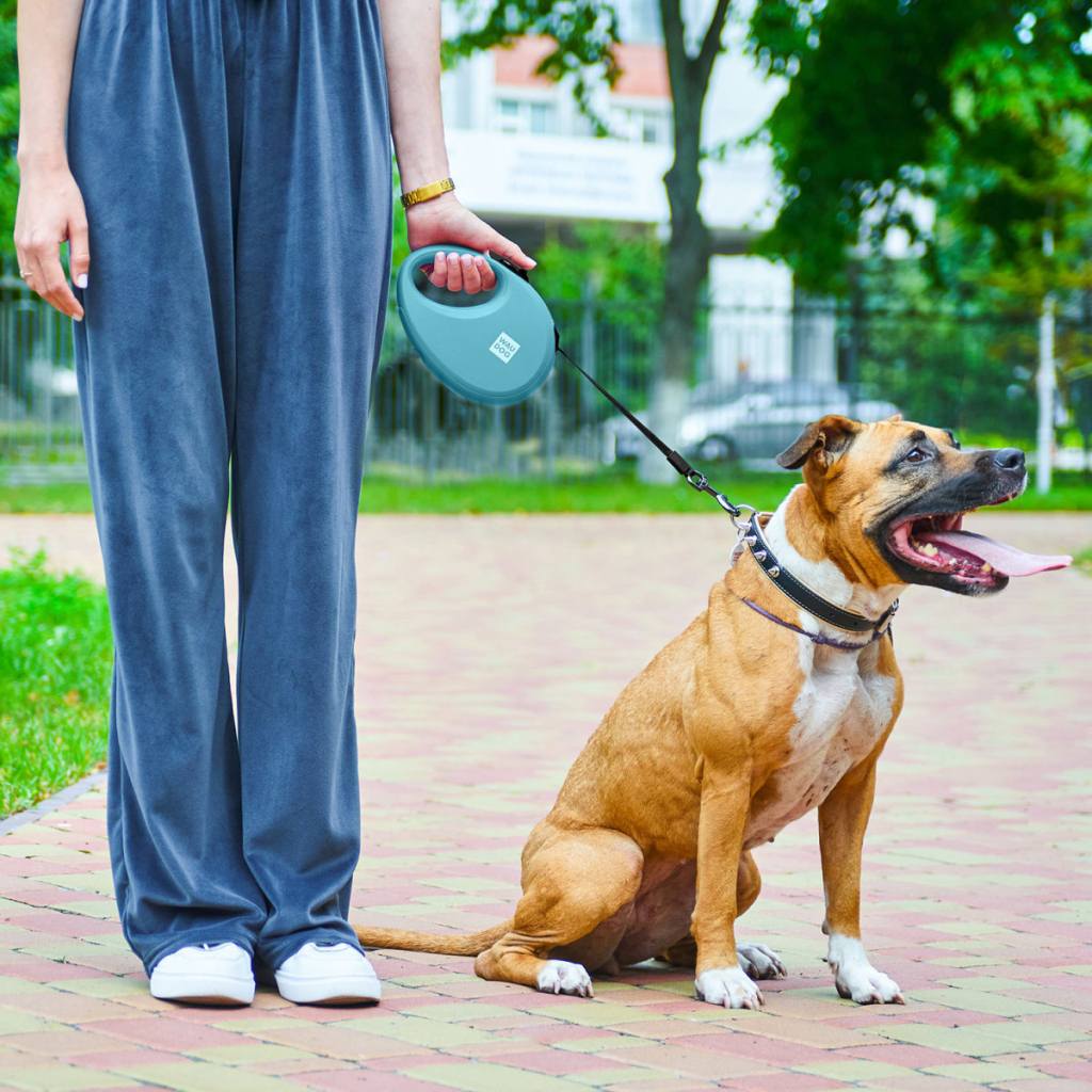 Повідець для собак WAUDOG R-leash з контейнером для пакетів S до 12 кг 3 м блакитний (26272) - зображення 6