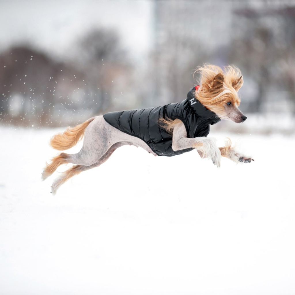 Курточка для тварин Airy Vest двостороння M 45 червоно-чорна (1580) - зображення 3
