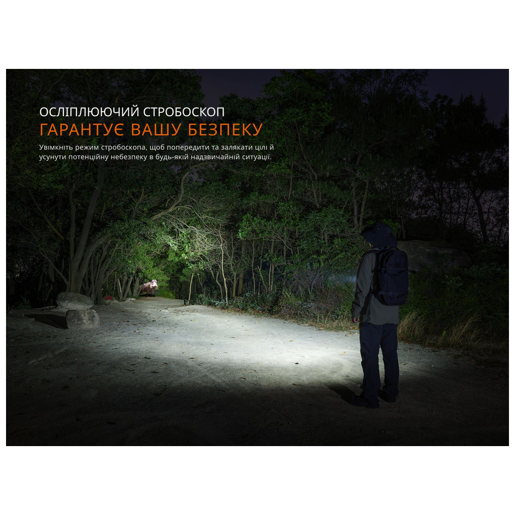 Ліхтар Fenix LD36RB чорний (LD36RB) - зображення 9