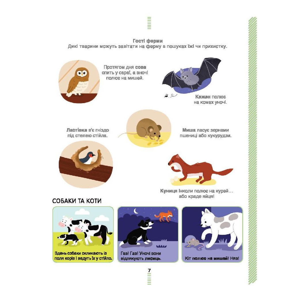 Книга На фермі. Енциклопедія для допитливих - Сесіль Югла #книголав (9786177820382) - зображення 5