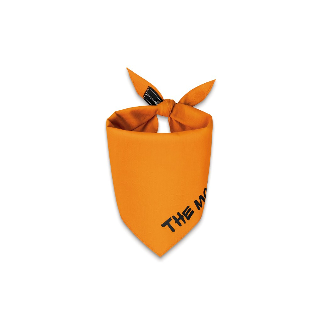 Бандана для тварин Pet Fashion "WEEKEND" XS-S помаранчева (4823082421107) - зображення 1