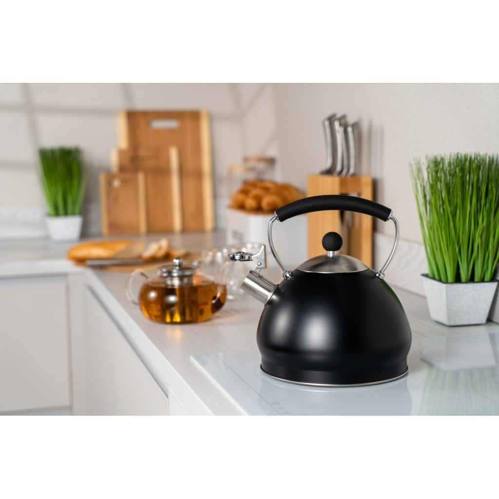 Чайник Ardesto Black Mars 3 л (AR0748KS) - зображення 5