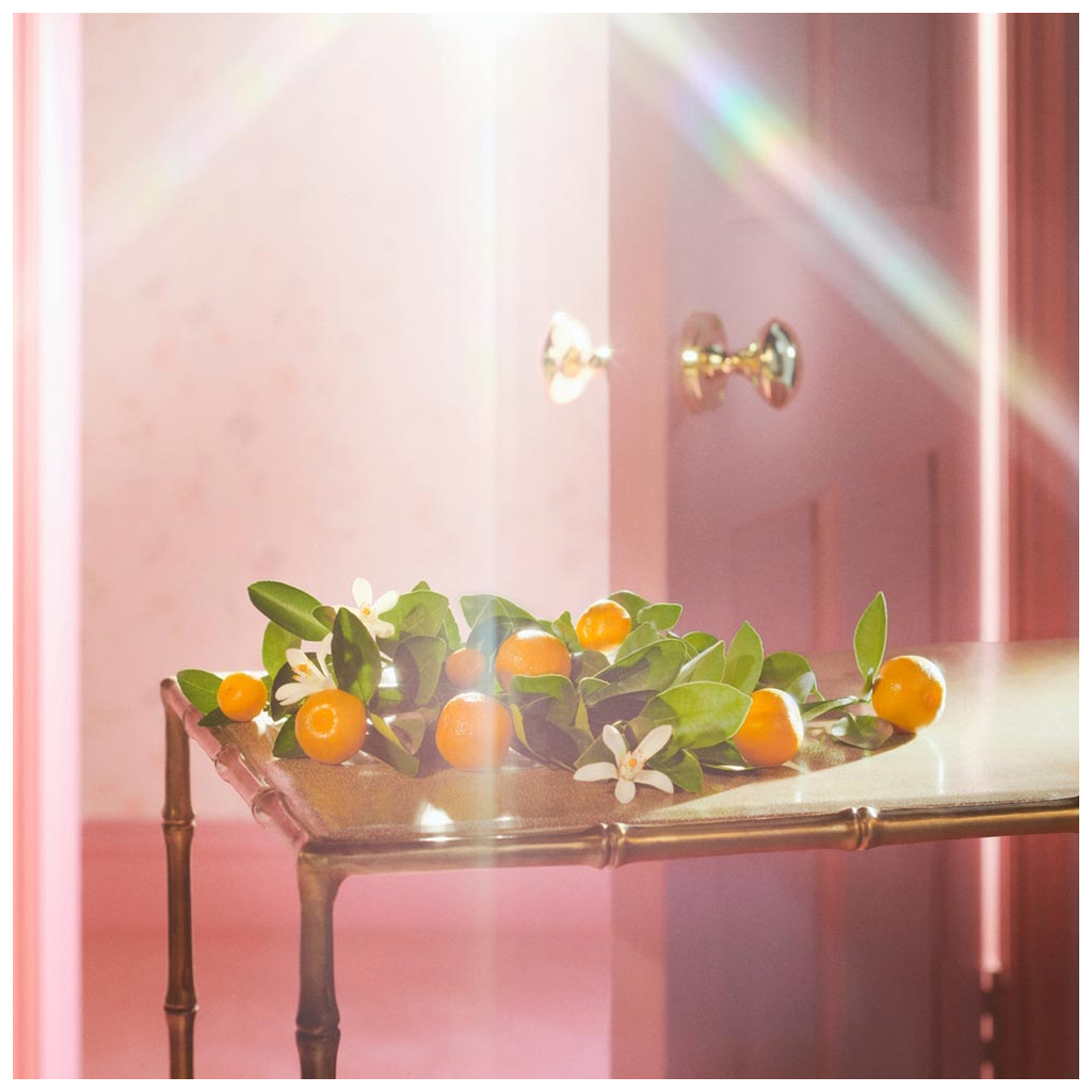 Парфумована вода Gucci Flora Gorgeous Jasmine 100 мл (3616303048181) - зображення 4