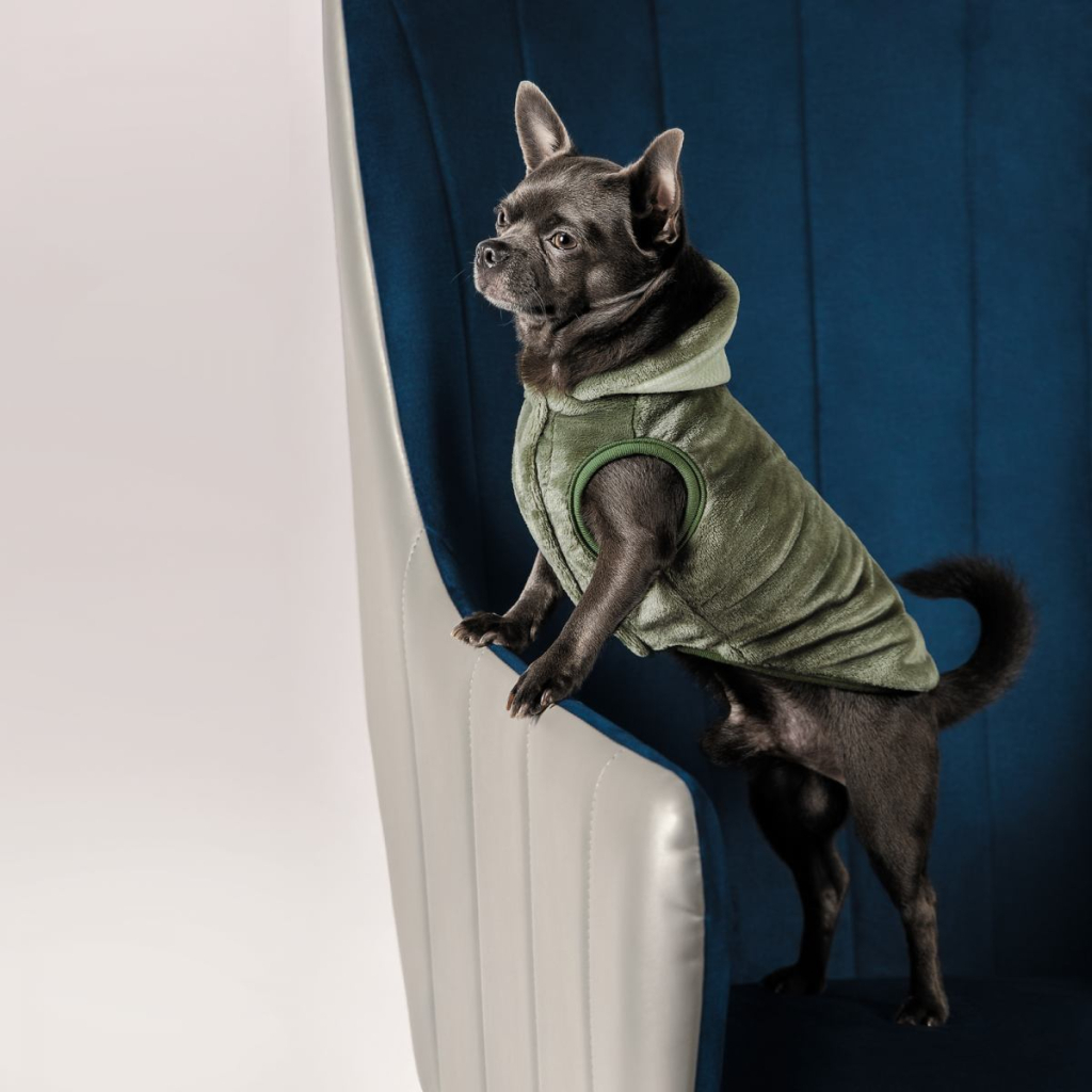 Жилет для тварин Pet Fashion LOUIS L (4823082427499) - зображення 3