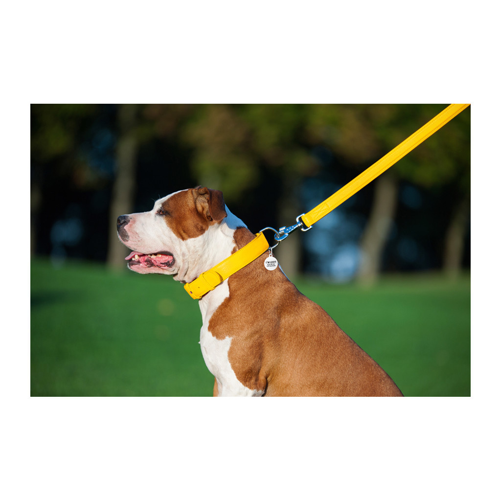 Повідець для собак WAUDOG Glamour шкіряний M-XXL жовтий (33768) - зображення 7