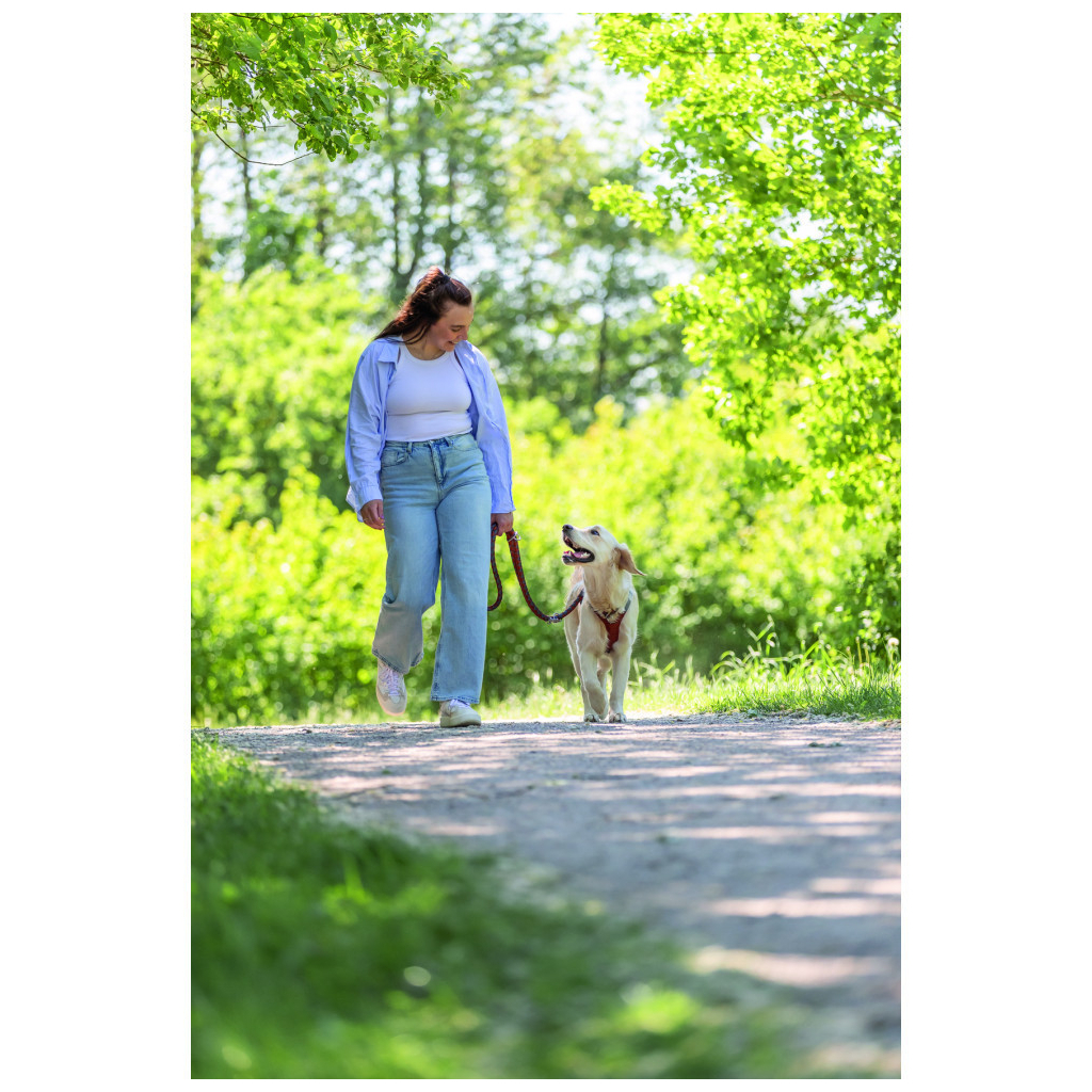 Повідець для собак Trixie Cavo регульований S–M 2 м діаметр 12 мм рижий-графітовий (4053032677890) - зображення 4