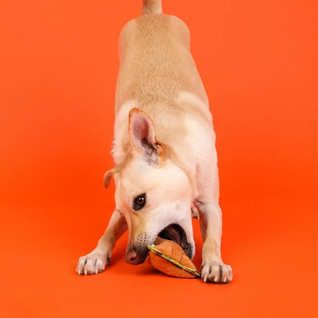 Іграшка для собак Outward Hound Xtreme Seamz Lion (0700603698849) - изображение 8