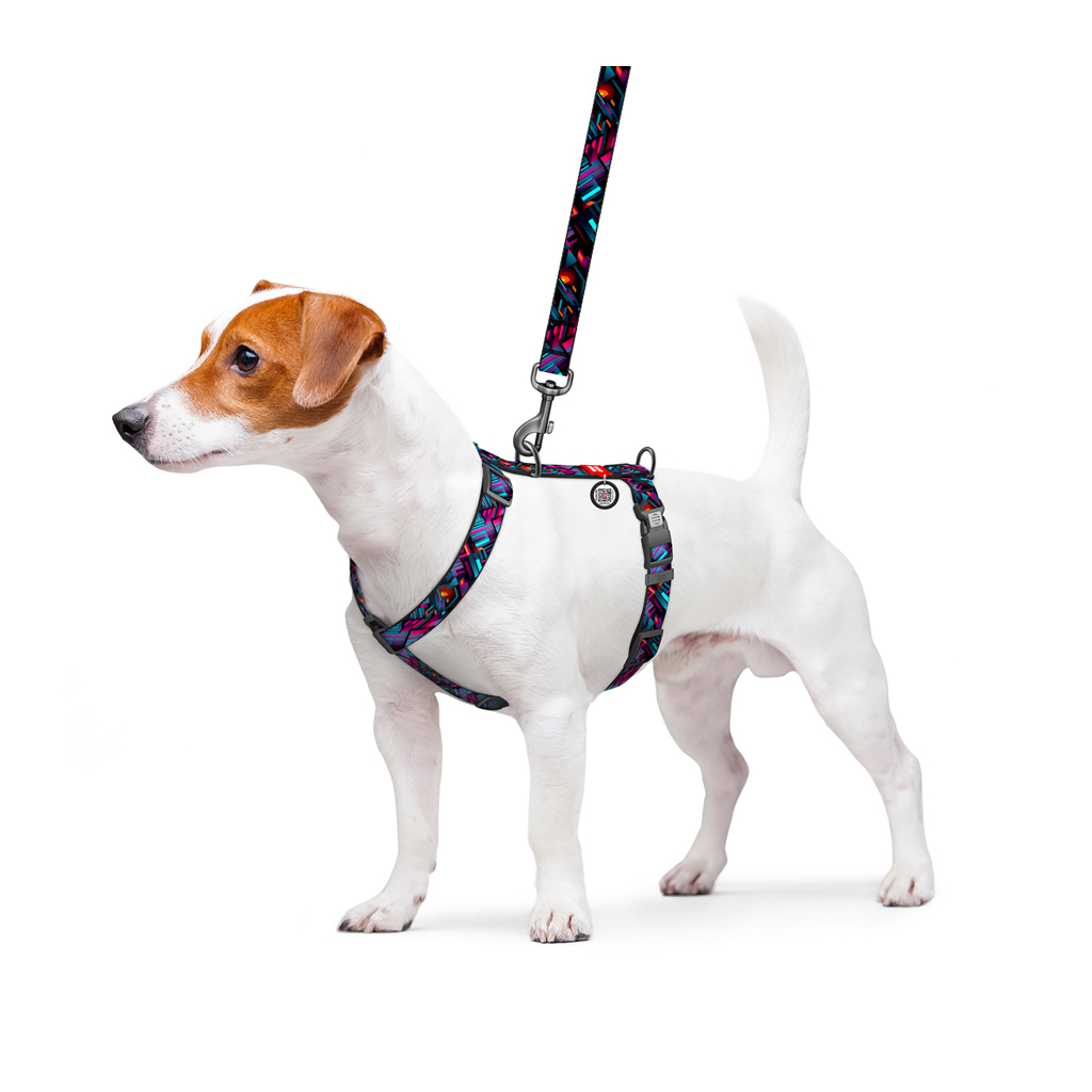 Шлея для собак WAUDOG Nylon анатомічна H-подібна з QR-паспортом "Нескінченні світи" пластиковий фастекс, L (345-4058) - зображення 3