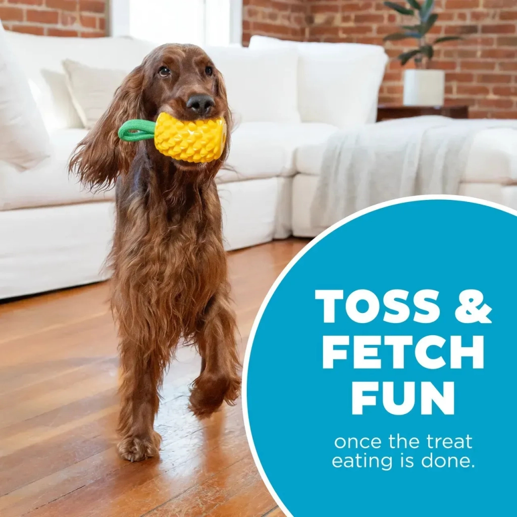 Іграшка для собак Outward Hound Ананас для ласощів (0700603714921) - изображение 6